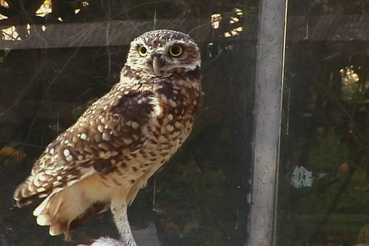 What Wildlife Museums Teach Solopreneurs About Content & Team Marketing